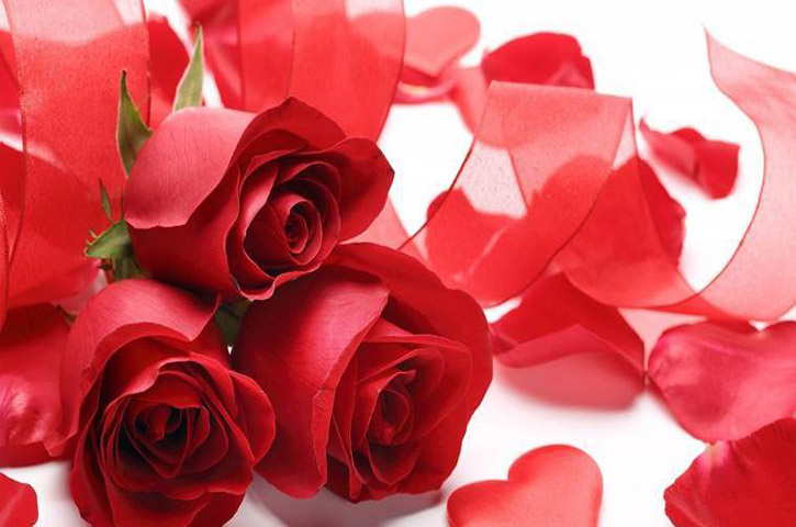 Rose Day