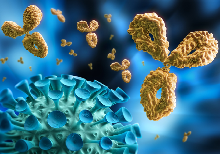 Covid19 infection against immunity vaccine